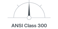 ISO-ANSIClass-300-100ppi